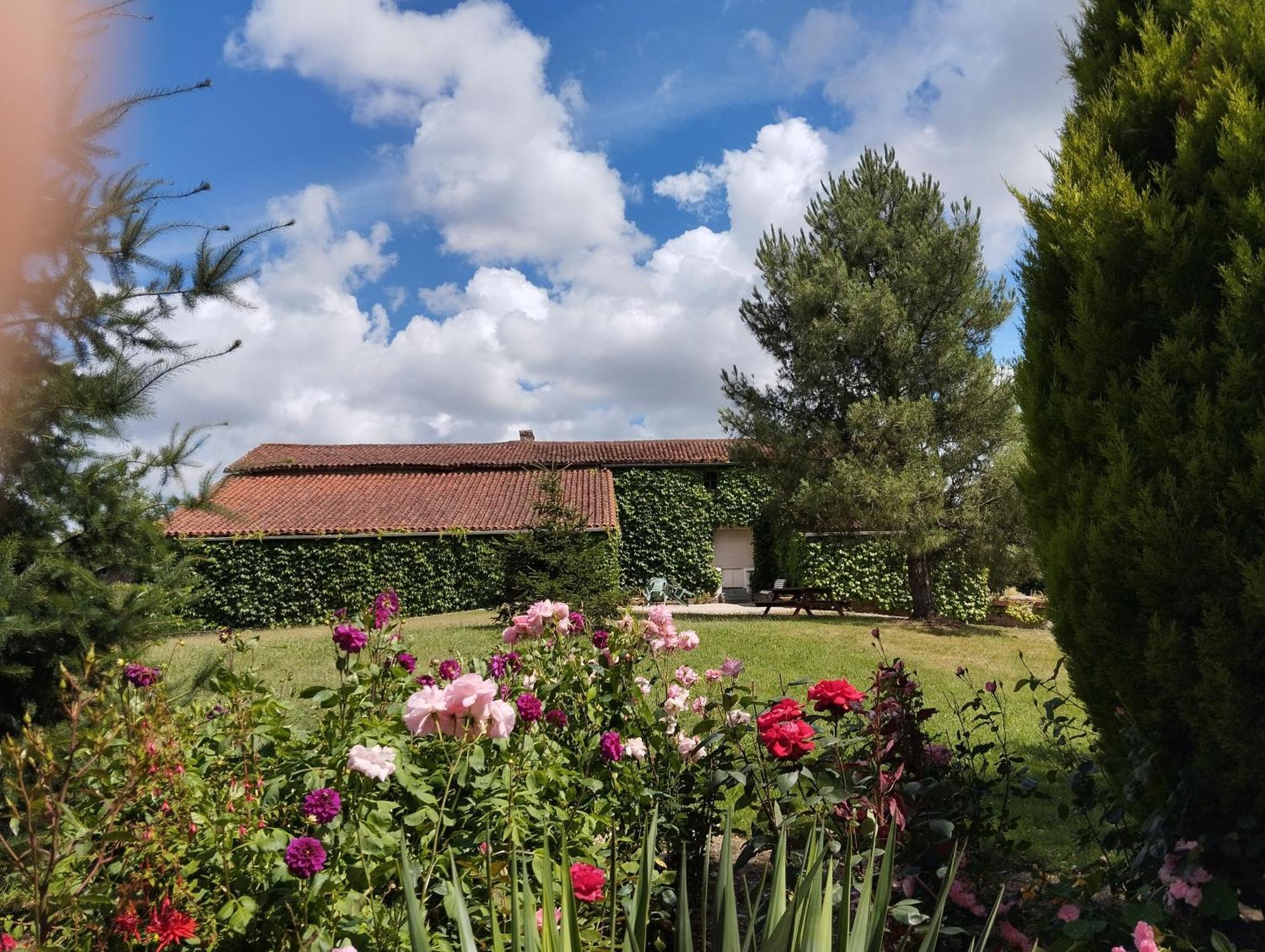 Maison Au Calme Avec Vue Etang Clesse  Exterior photo