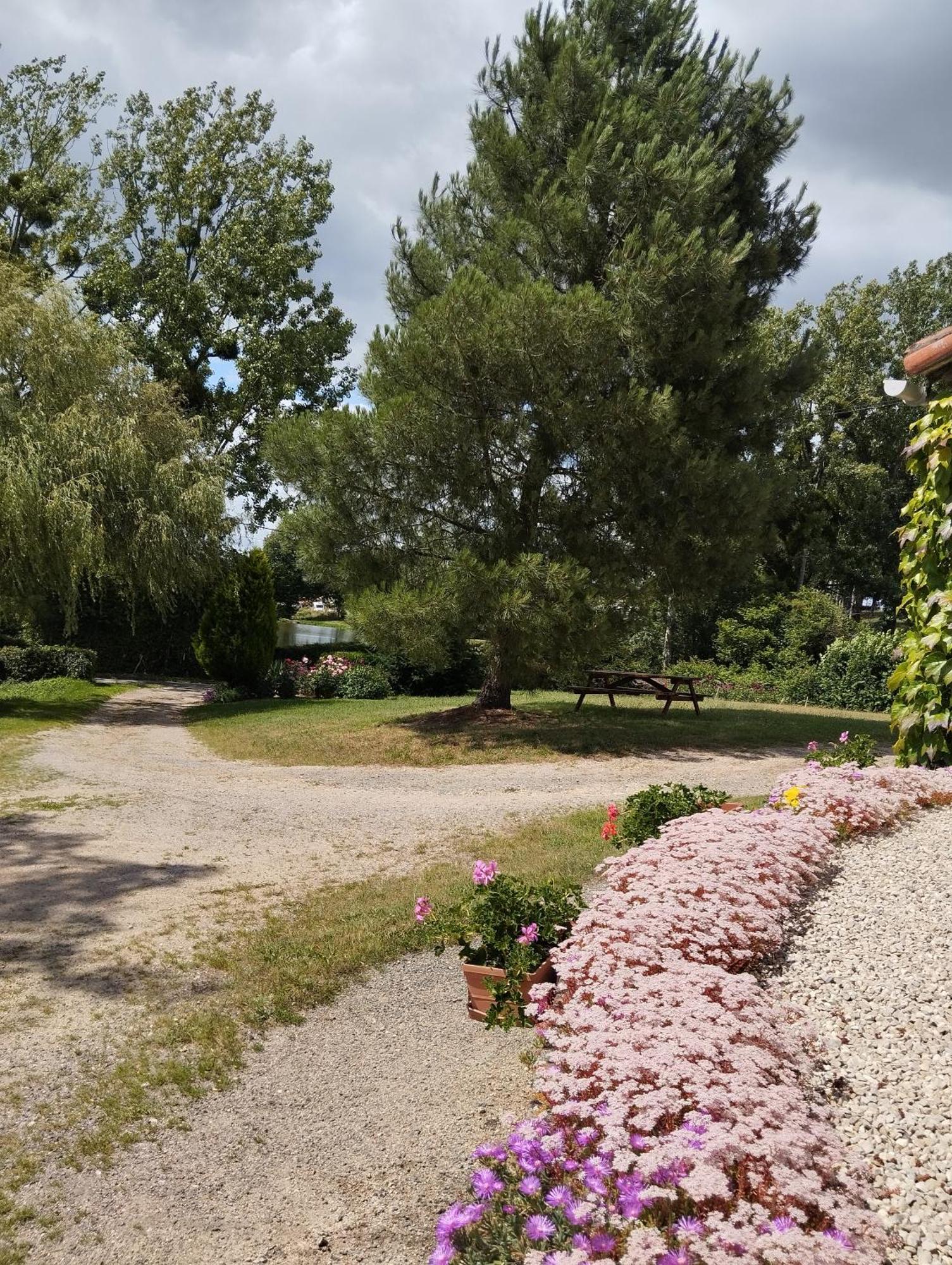 Maison Au Calme Avec Vue Etang Clesse  Exterior photo